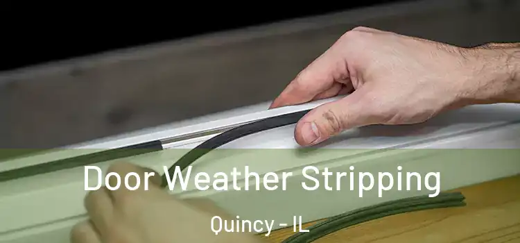 Door Weather Stripping Quincy - IL