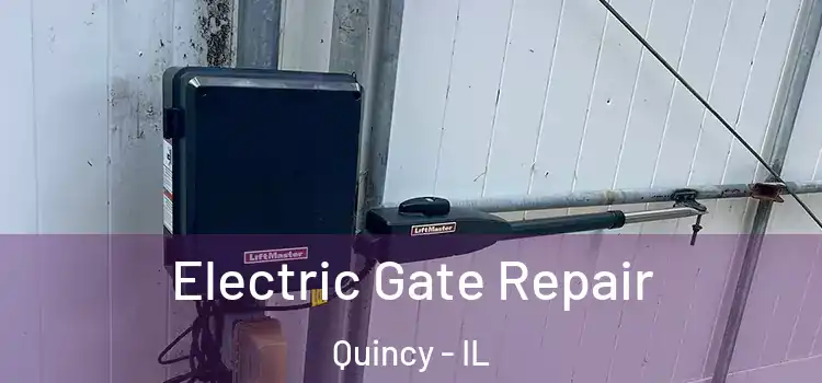 Electric Gate Repair Quincy - IL