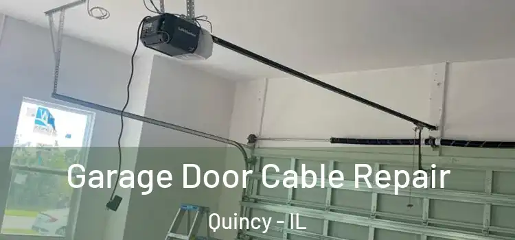  Garage Door Cable Repair Quincy - IL