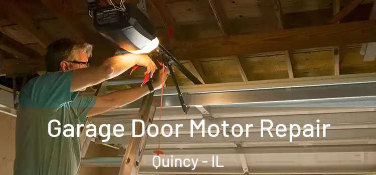  Garage Door Motor Repair Quincy - IL