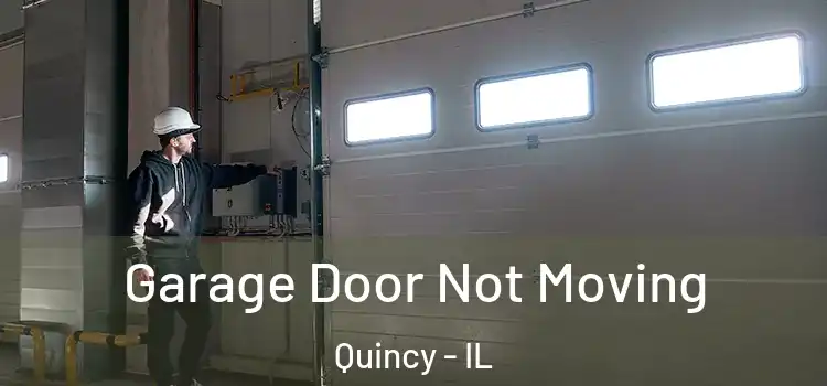  Garage Door Not Moving Quincy - IL