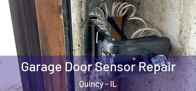 Garage Door Sensor Repair Quincy - IL