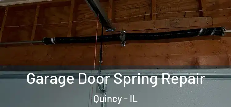  Garage Door Spring Repair Quincy - IL