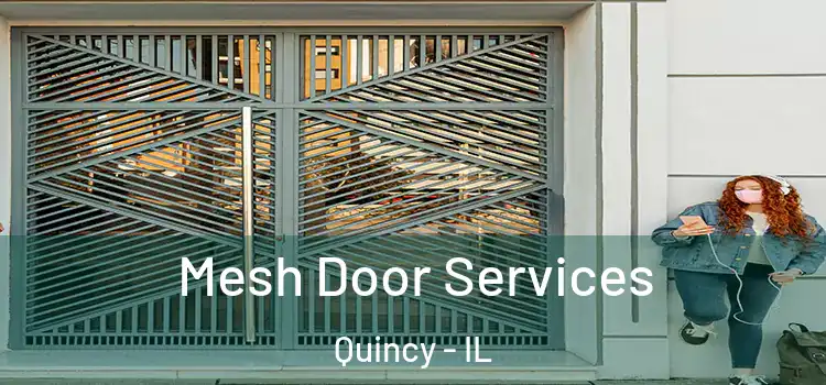 Mesh Door Services Quincy - IL