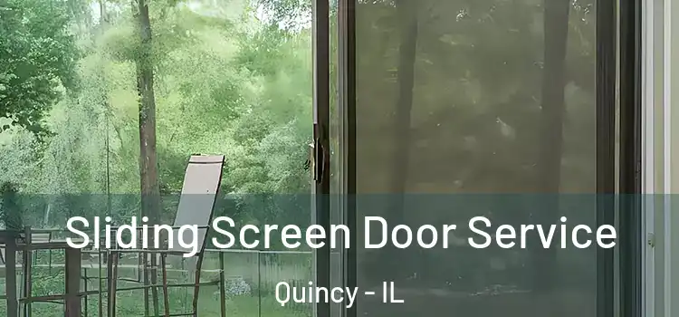 Sliding Screen Door Service Quincy - IL